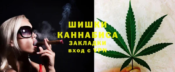 молекула духа Медногорск