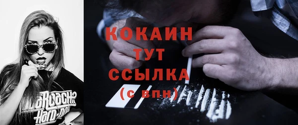 молекула духа Медногорск