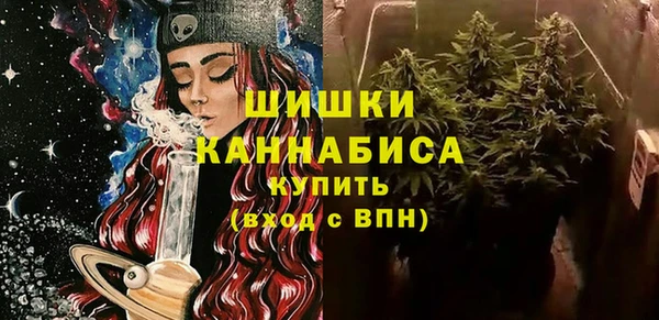 молекула духа Медногорск