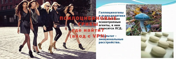 молекула духа Медногорск
