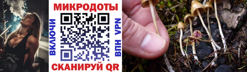 Псилоцибиновые грибы Psilocybe  Купить  Поронайск 
